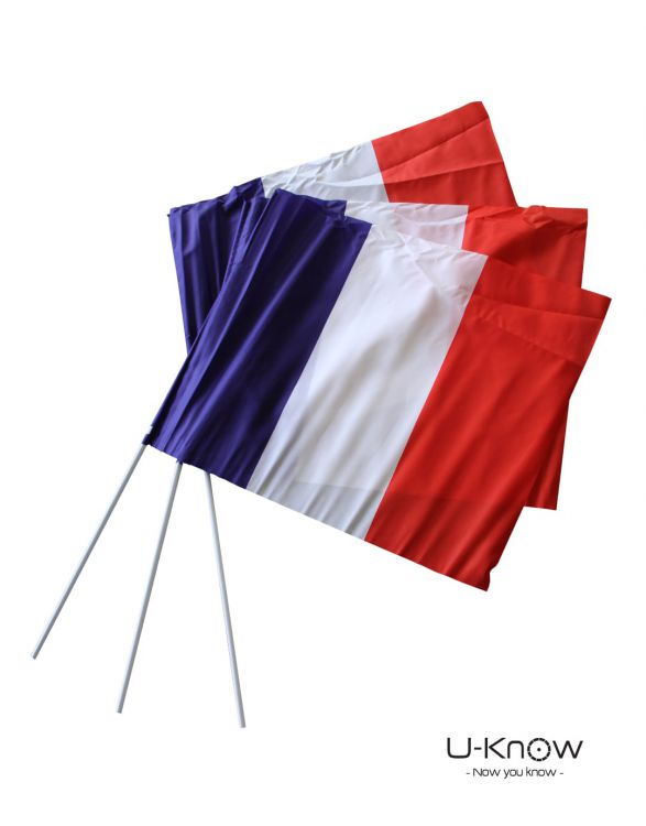 DS 45  DRAPEAU DE SUPPORTER 30 x 20 cm